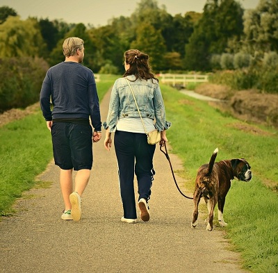 una pareja paseando a su perro